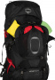 Рюкзак туристический Osprey Aether Plus 85 Axo Green